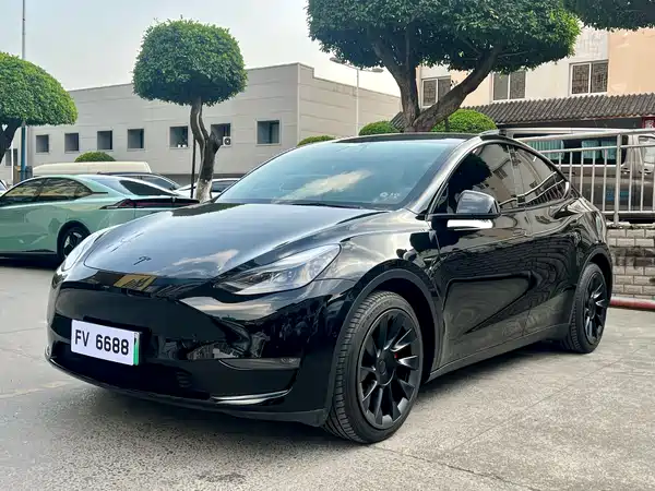 Tesla Model Y 2022