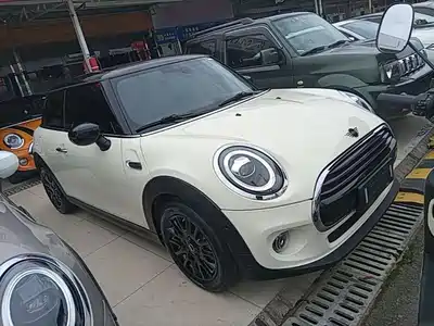 MINI MINI 2021