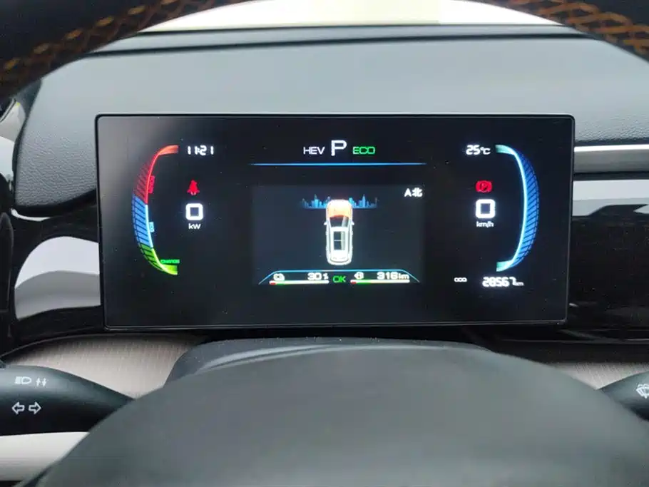 BYD Song Pro New Energy 2024 — фото 14