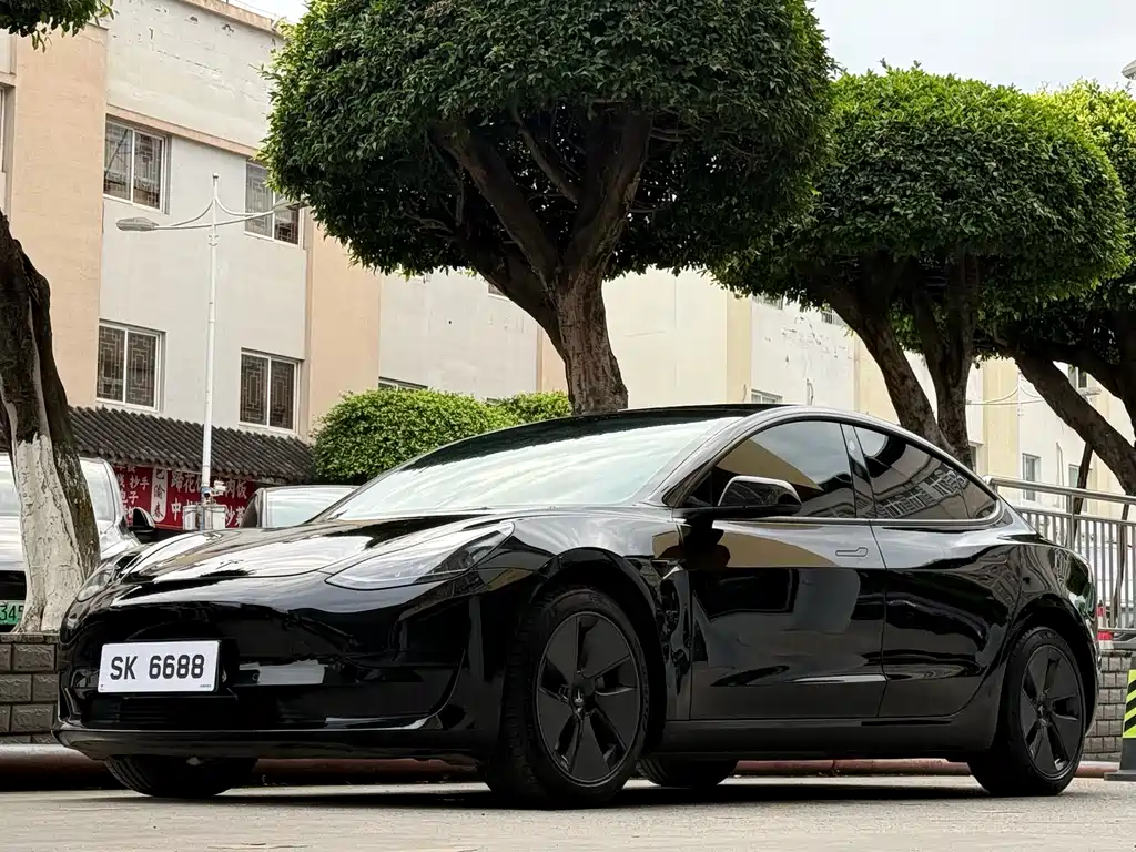 Tesla Model 3 2022