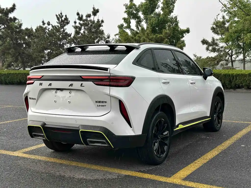 Haval H6S 2021 — фото 9