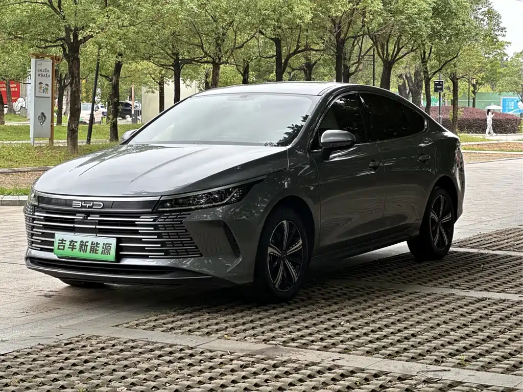 BYD Destroyer 05 2022 — фото 1