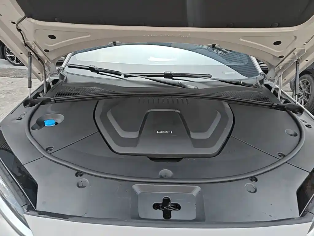 BYD Song PLUS New Energy 2023 — фото 20
