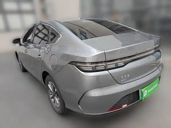 BYD Destroyer 05 2024