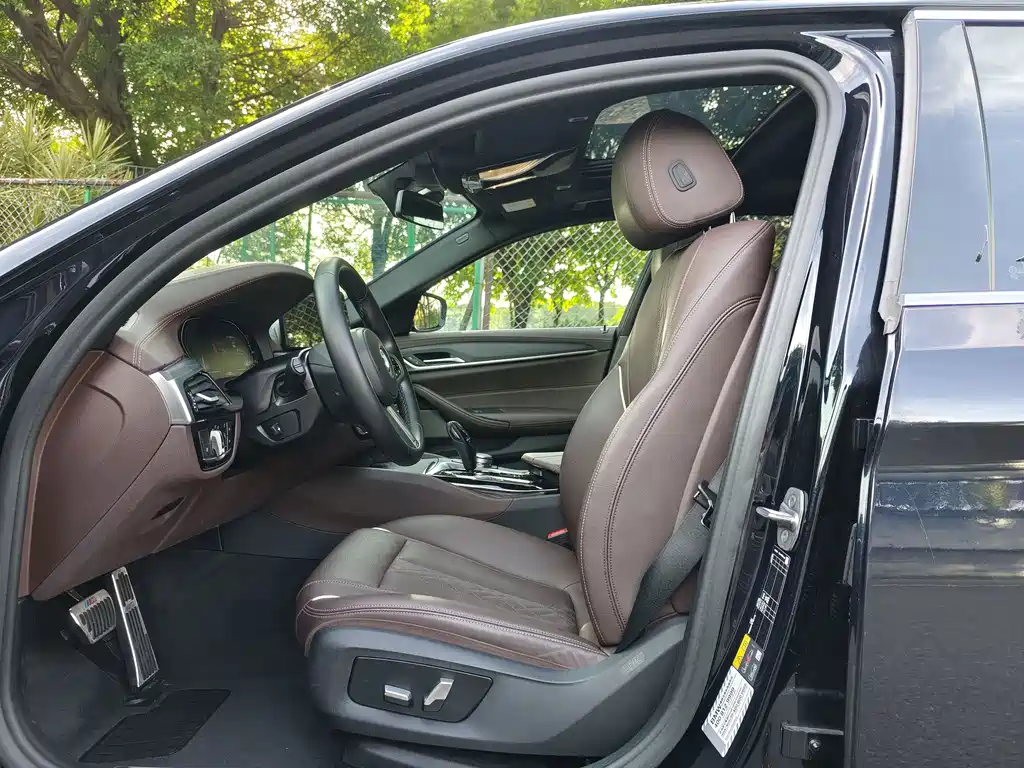BMW 5 Series New Energy 2022