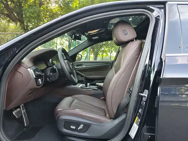 BMW 5 Series New Energy 2022