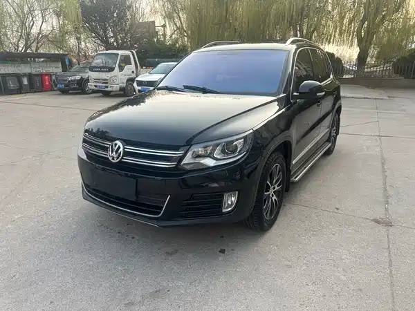Volkswagen Tiguan 2013