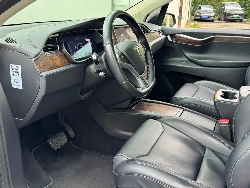 Tesla Model X 2019