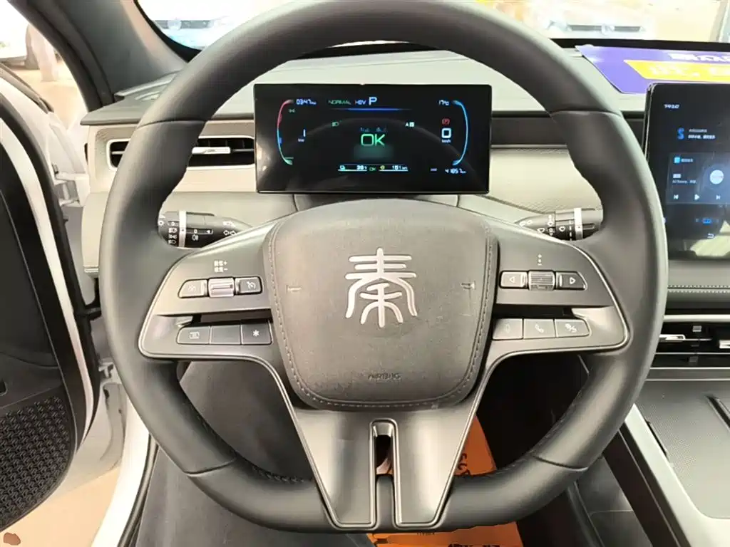 BYD Qin PLUS 2025 — фото 11