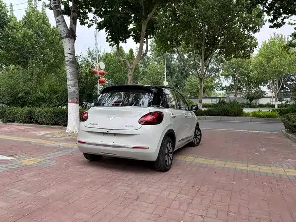 Wuling Bingo 2024