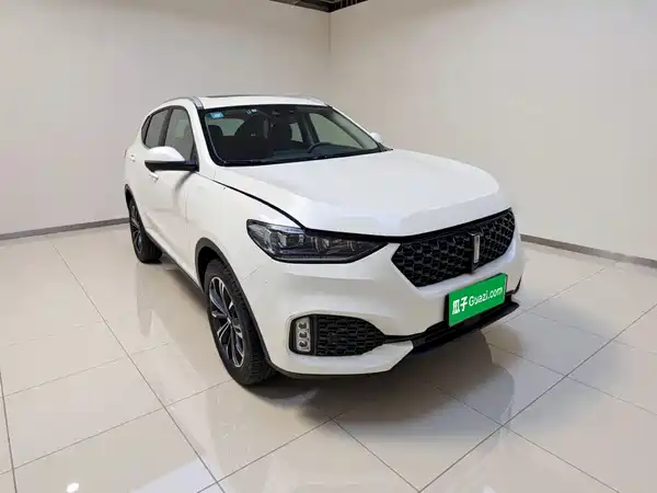 Wey VV6 2020