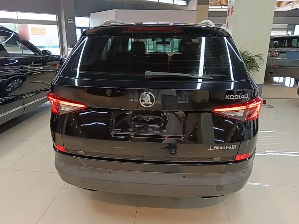 Skoda Kodiaq 2019 — фото 6