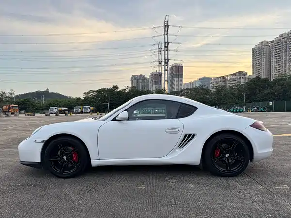 Porsche Cayman 2010