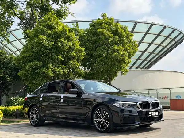 BMW 5 Series 2019