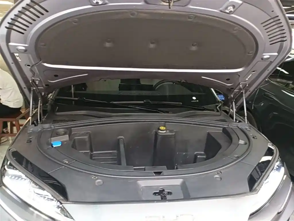 BYD PLUS New Energy 2025 — фото 20