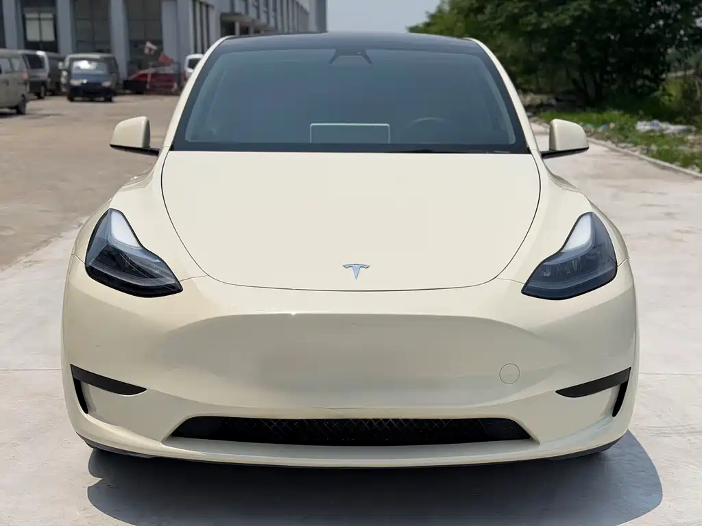 Tesla Model Y 2022 — фото 2