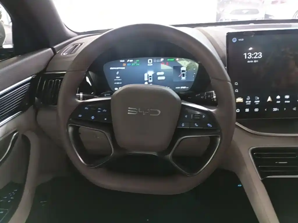 BYD PLUS New Energy 2025 — фото 11