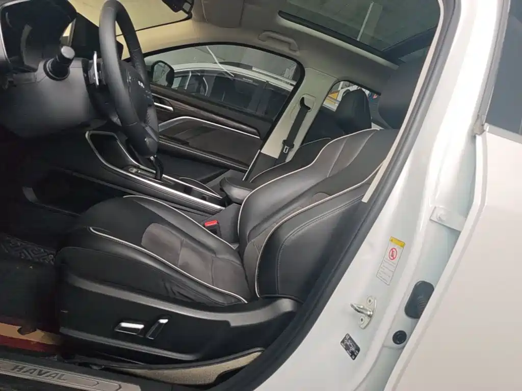 Haval H6 2021 — фото 15