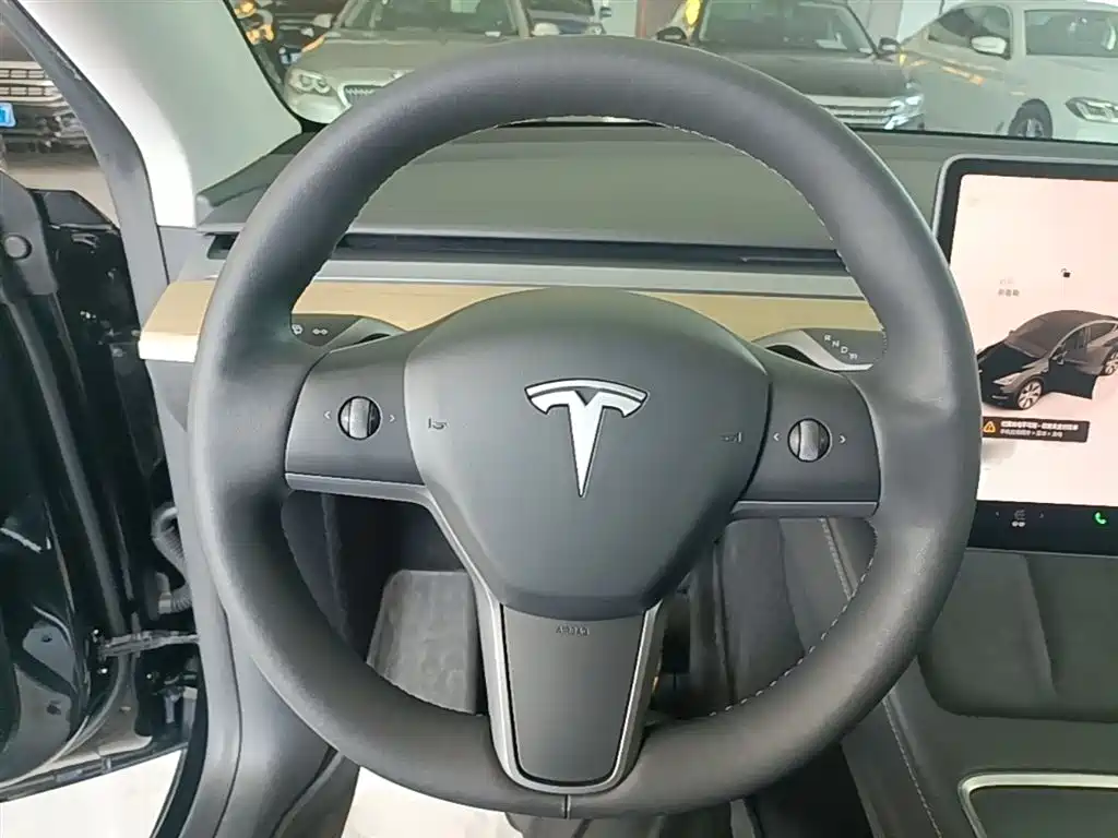 Tesla Model Y 2023 — фото 11