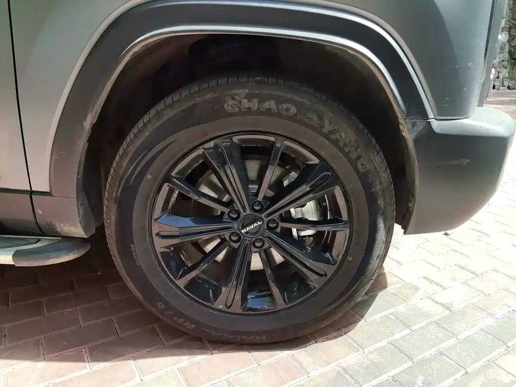 Haval Raptors New Energy 2025 — фото 26