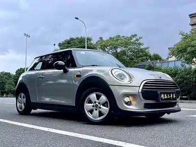 MINI MINI 2015