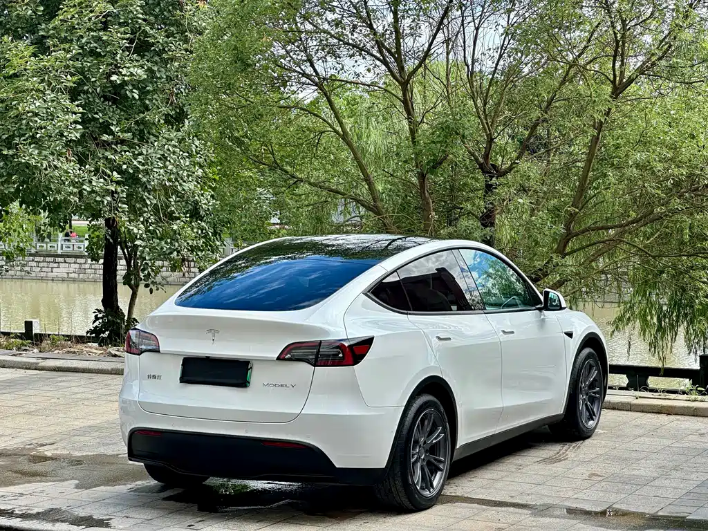 Tesla Model Y 2023 — фото 4