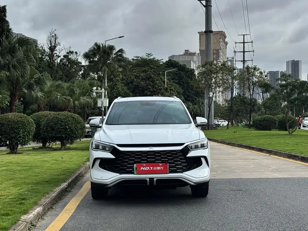 BYD Pro New Energy 2024 — фото 3