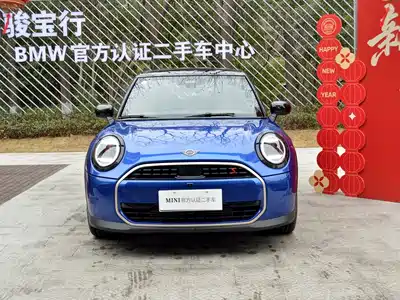 MINI MINI 2025