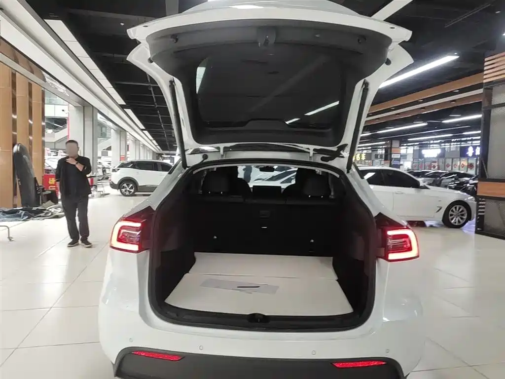 Tesla Model Y 2021 — фото 19