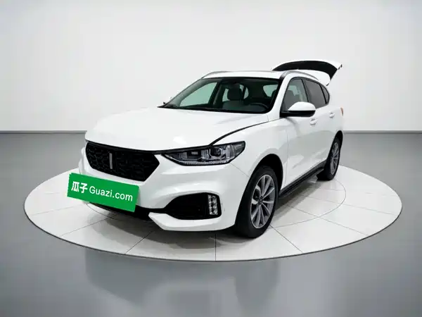 Wey VV6 2019