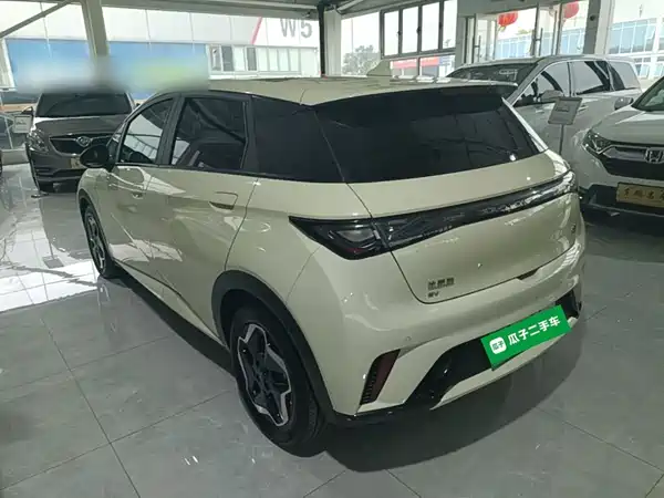 BYD Dolphin 2022