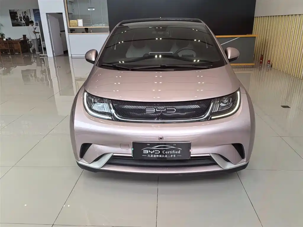 BYD Dolphin 2022