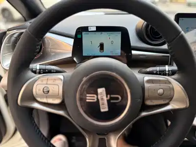 BYD Dolphin 2026