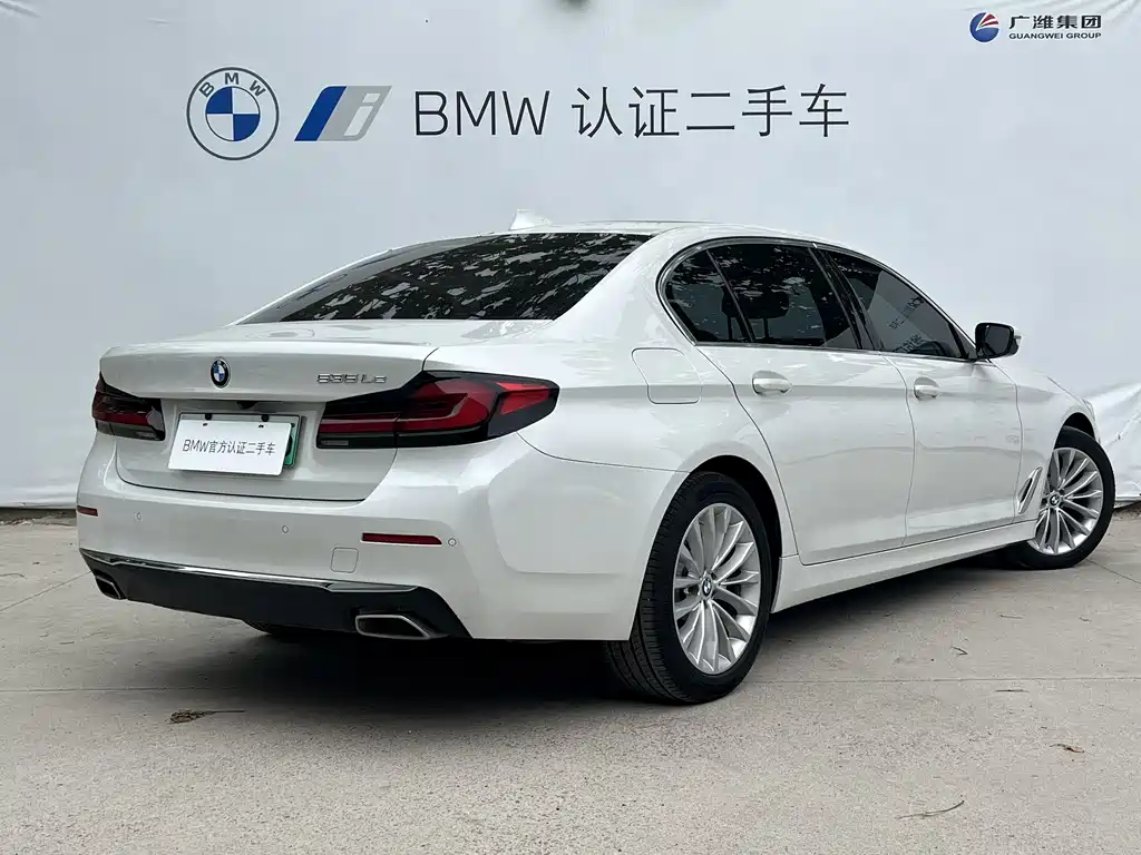 BMW 5 Series New Energy 2021