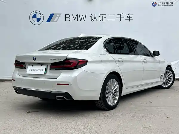 BMW 5 Series New Energy 2021