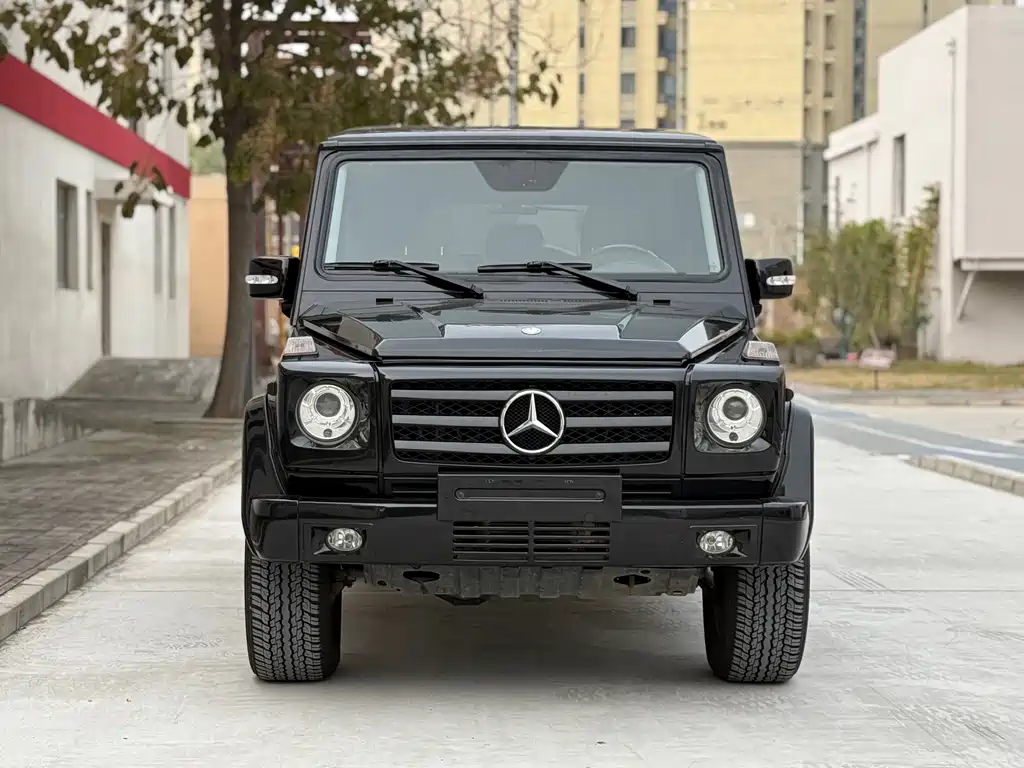 Mercedes-Benz G-Class 2011 — фото 2