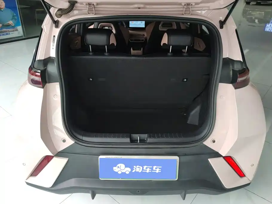 BYD Seagull 2024