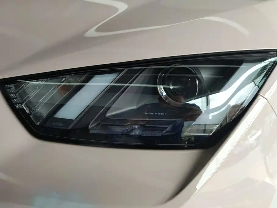 BYD Seagull 2024