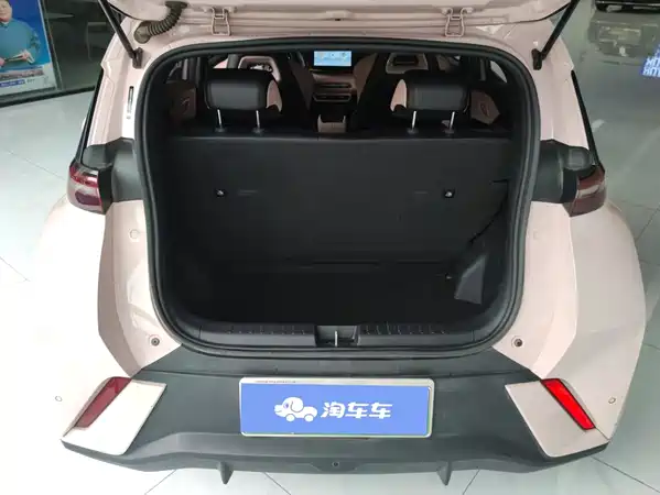 BYD Seagull 2024