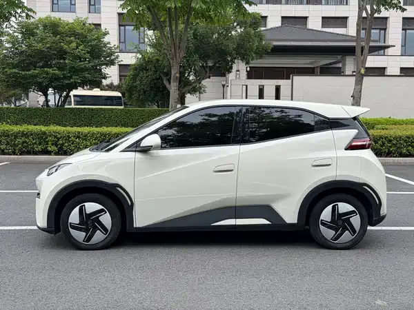 BYD Seagull 2024