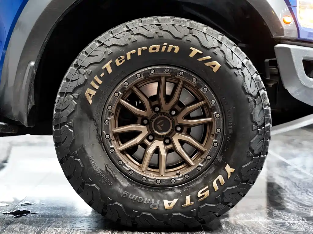 Ford F-150 Raptor 2019 — фото 9