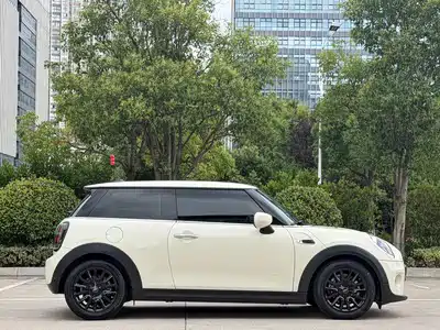 MINI MINI 2020