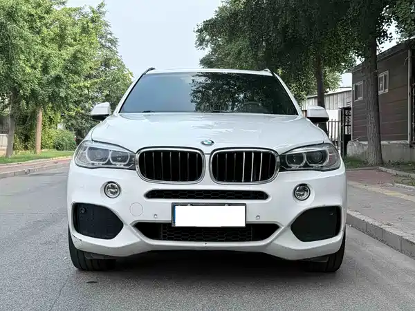 BMW X5 2014