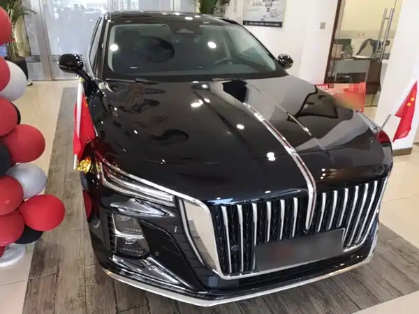 Hongqi H5 2024