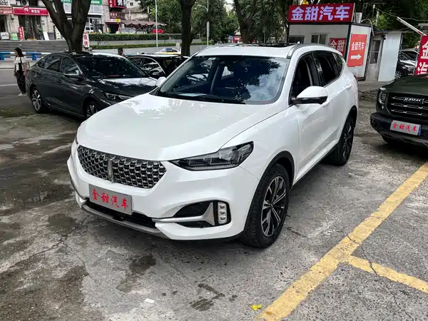 Wey VV6 2021