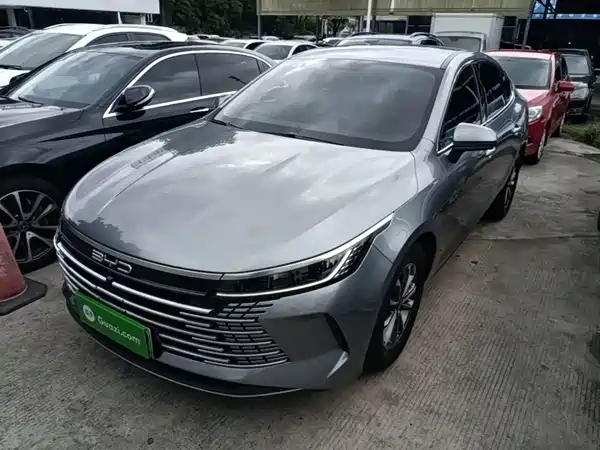 BYD Destroyer 05 2024