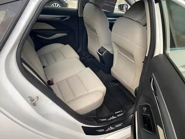 Geely Binrui 2019