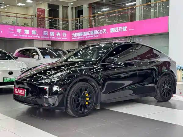Tesla Model Y 2024