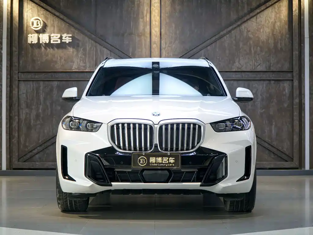 BMW X5 2024 — фото 2
