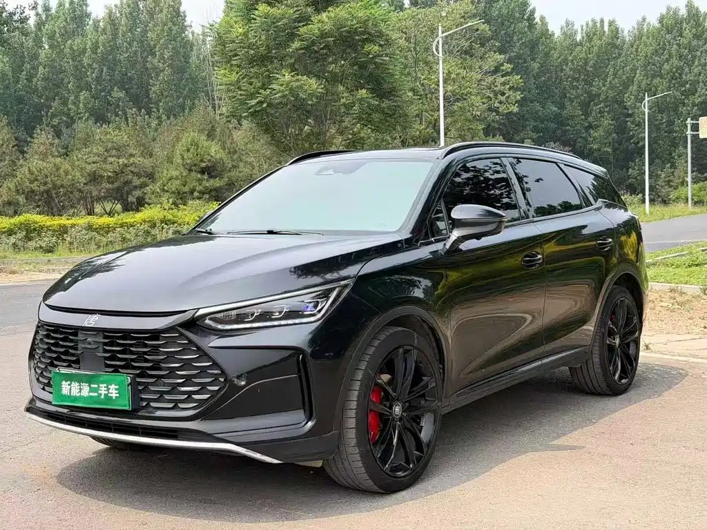 BYD Tang New Energy 2023 — фото 1